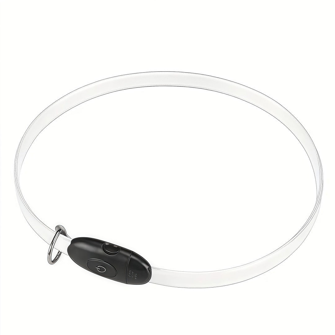 LED Light Up Dog Collar with Reflective Safety