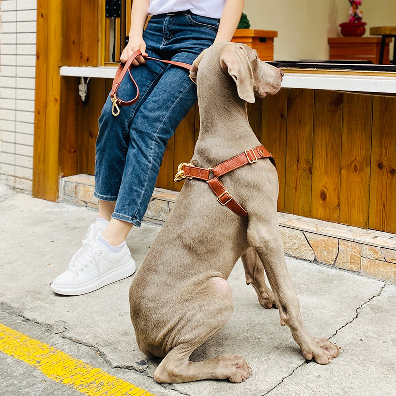 Leather Dog Leash