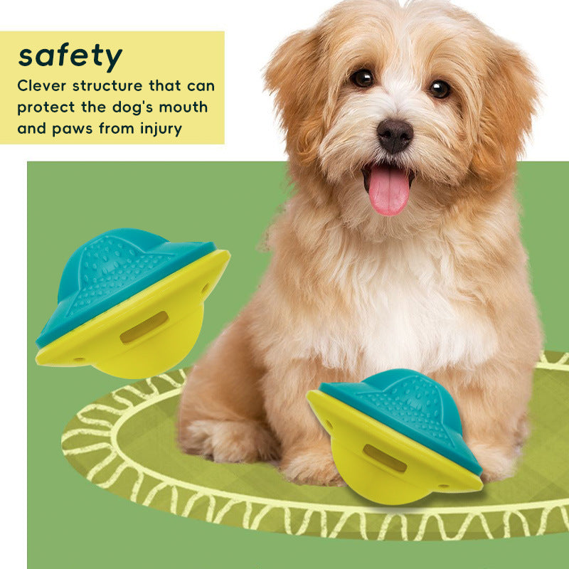 Dog brain-training toys