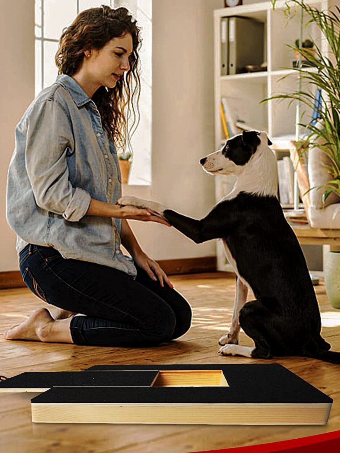 Wooden Dog Scratching Board with Pull-Out Food Box and Sandpaper