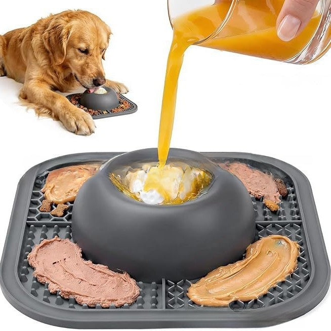 Slow Feeder Dog Bowl for Healthy Eating