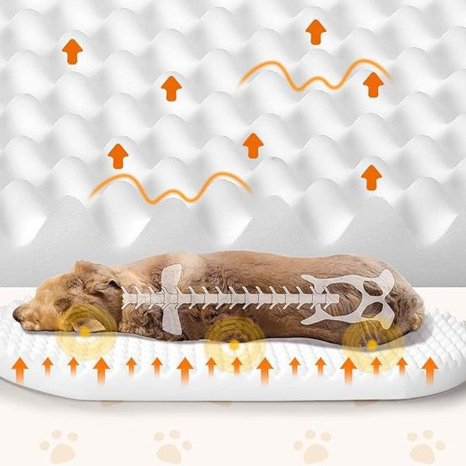 Huxpaw Orthopedic Mattress Dog Bed