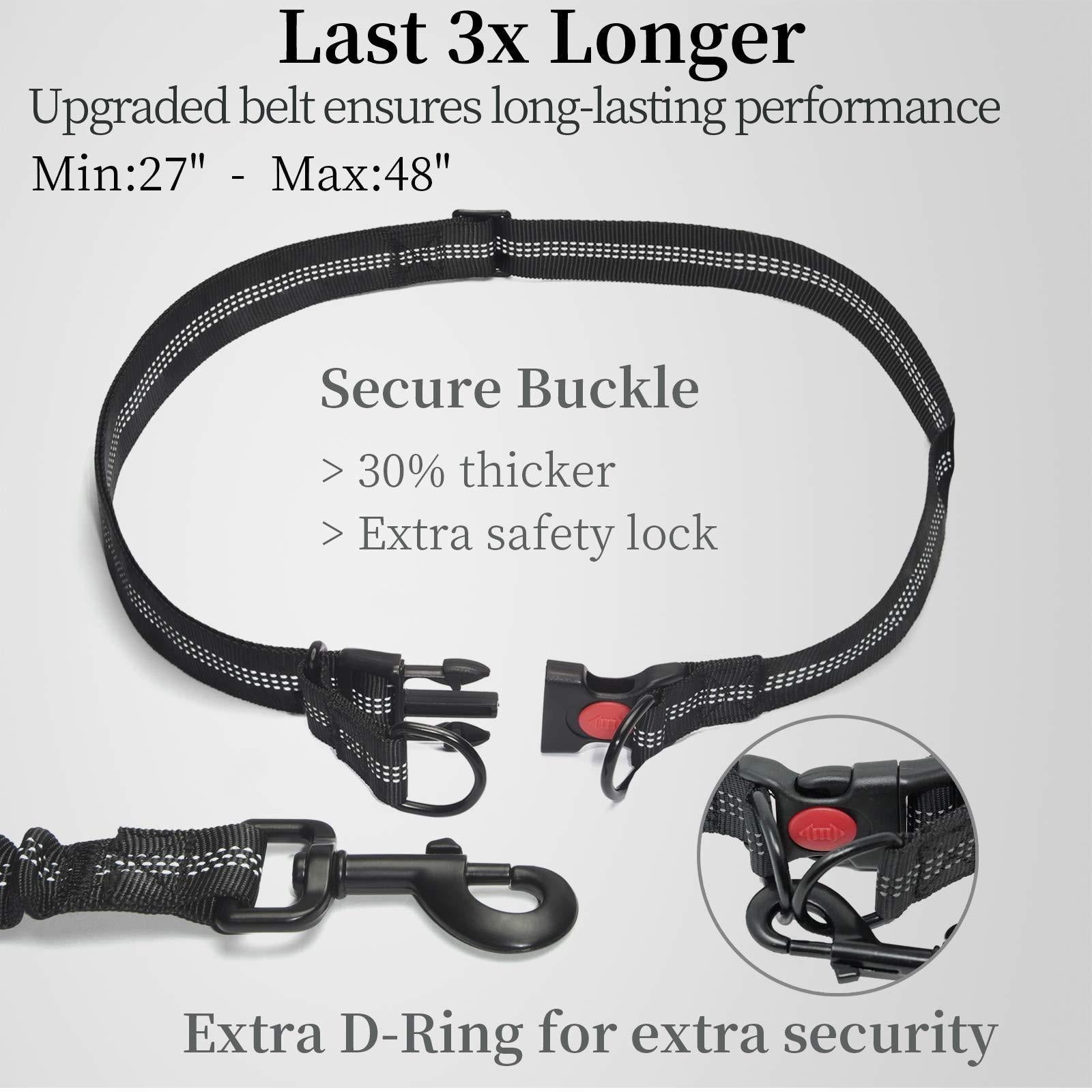 Multifunctional Reflective Dog Walking Waist Leash