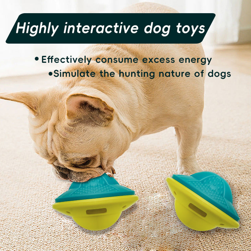 Dog brain-training toys