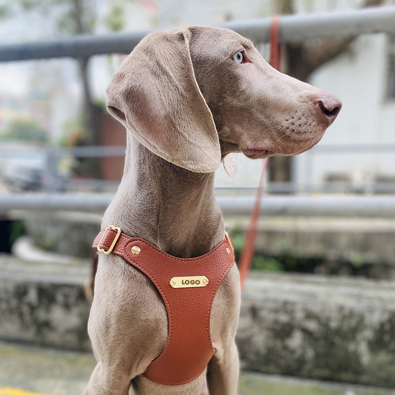 Leather Dog Leash