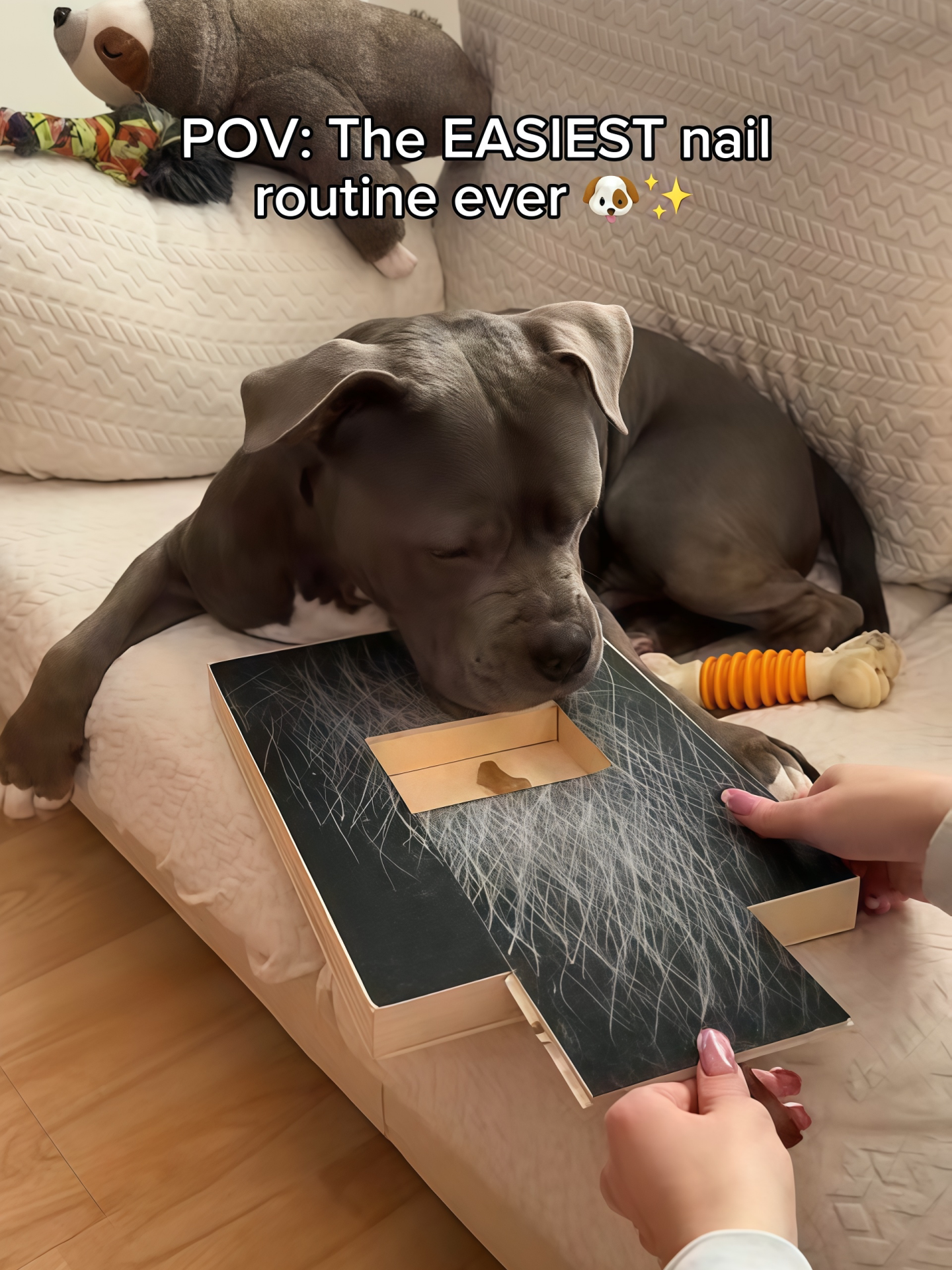 Wooden Dog Scratching Board with Pull-Out Food Box and Sandpaper