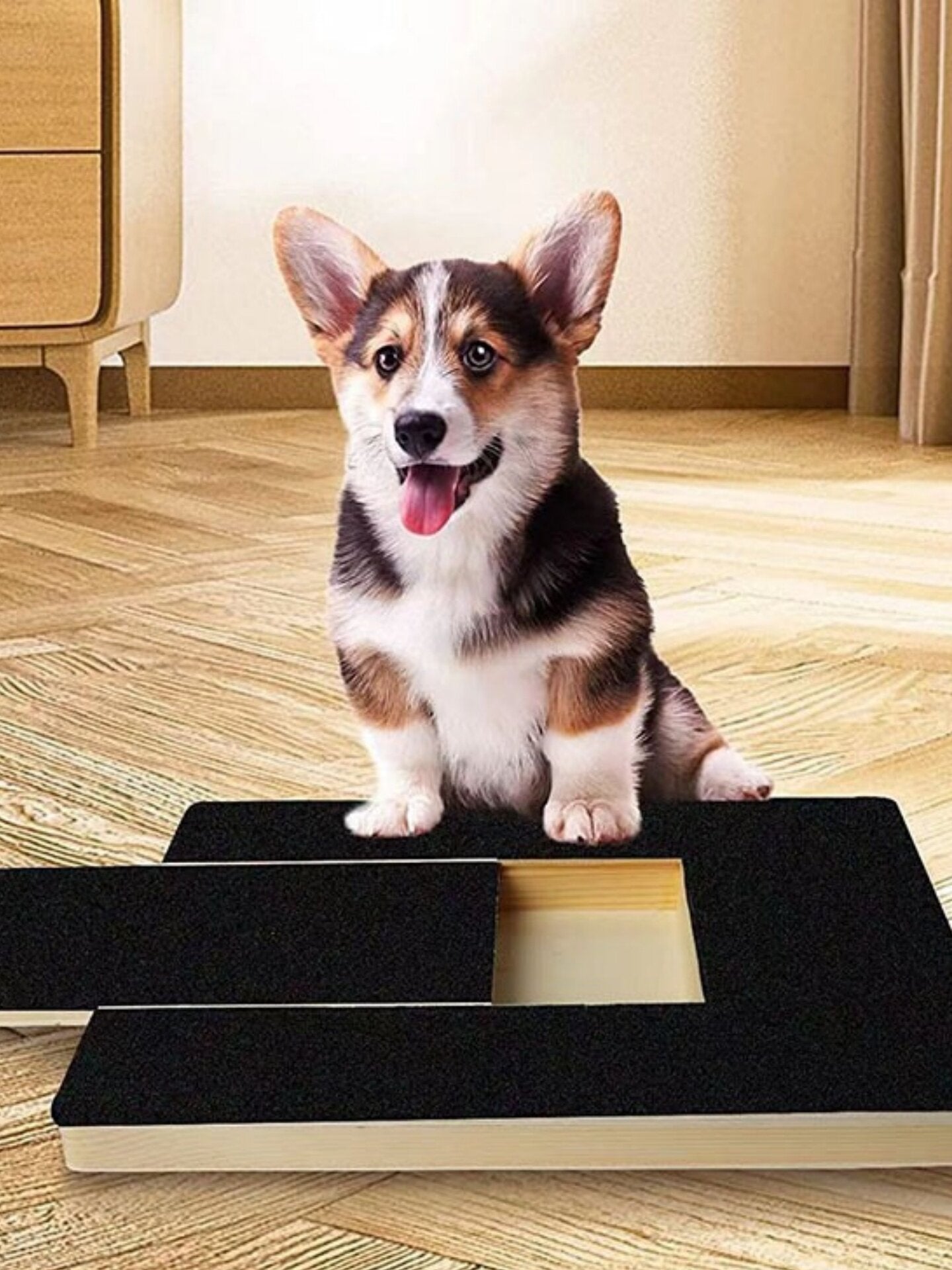 Wooden Dog Scratching Board with Pull-Out Food Box and Sandpaper