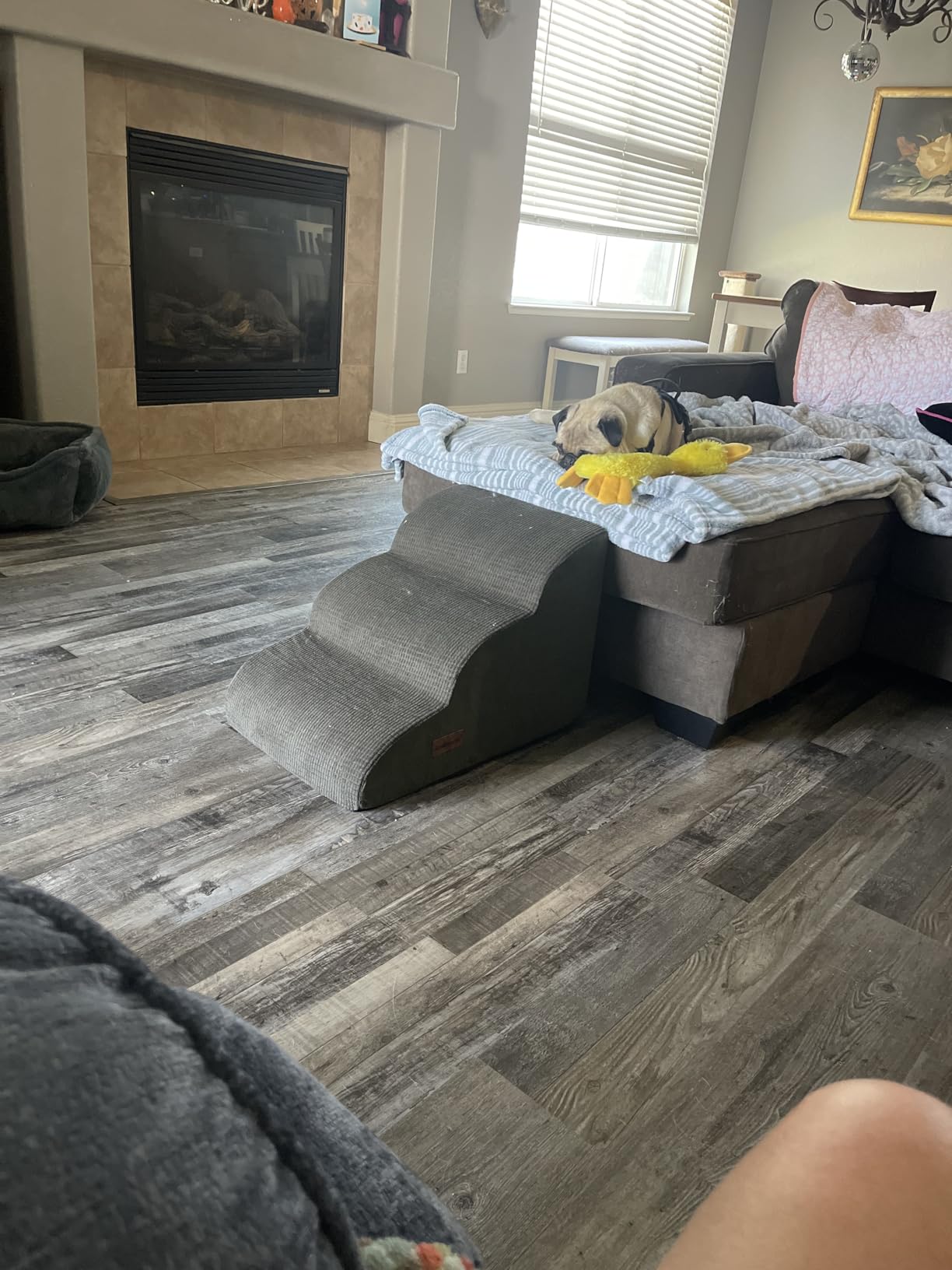 Curved Foam Pet Steps next to a bed with a dog