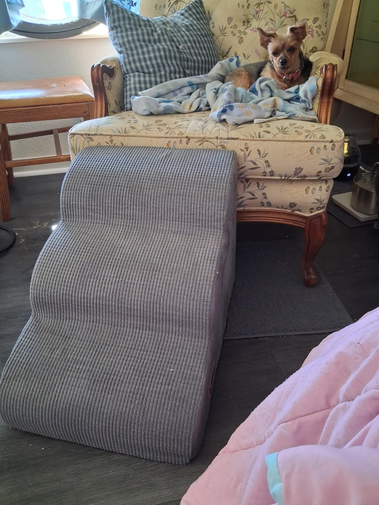Small dog using Curved Foam Pet Steps to reach a chair